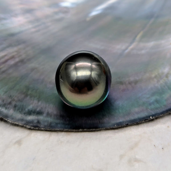 Tahiti Nui 13.5 mm