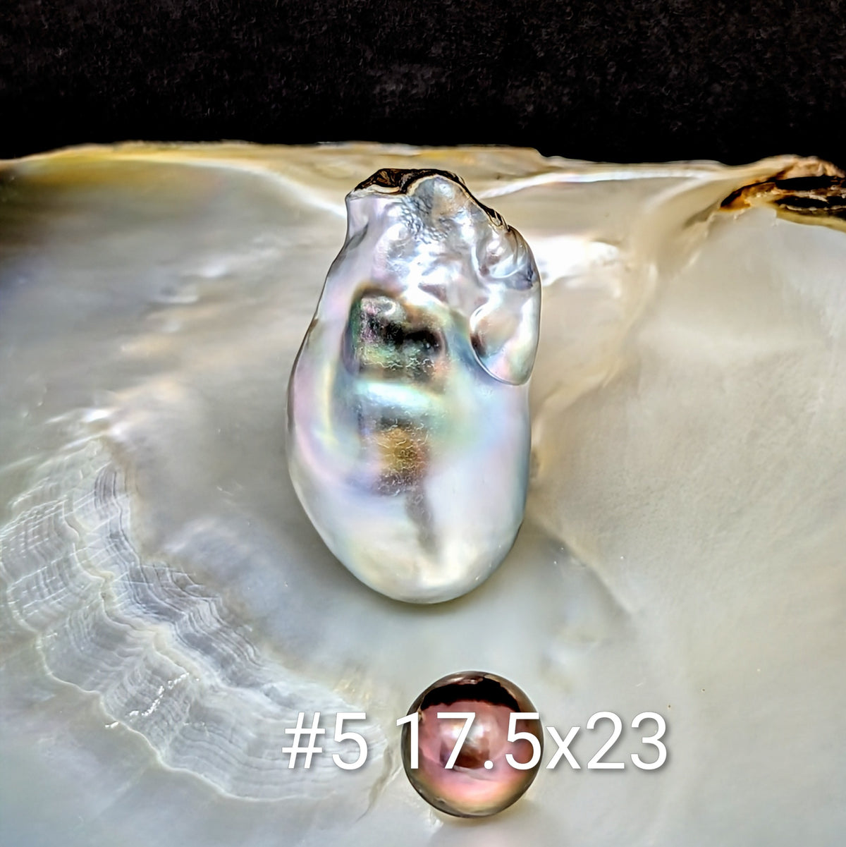 Lot #5 — 17.5 x 23.0 mm Sculptured Silver Tahitian Baroque