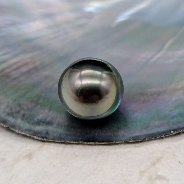 Tahiti Nui 13.5 mm