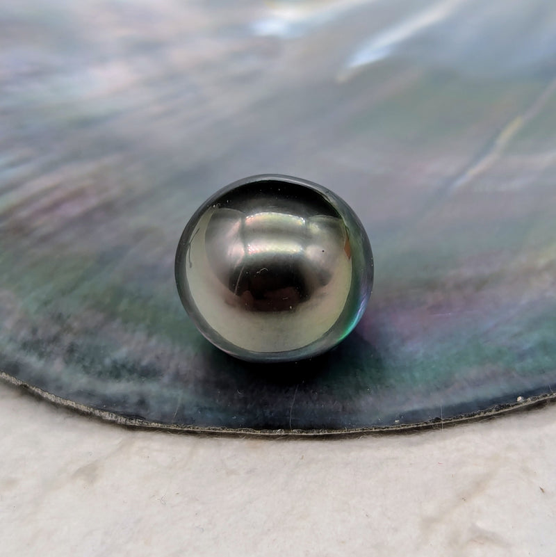 Tahiti Nui 13.5 mm