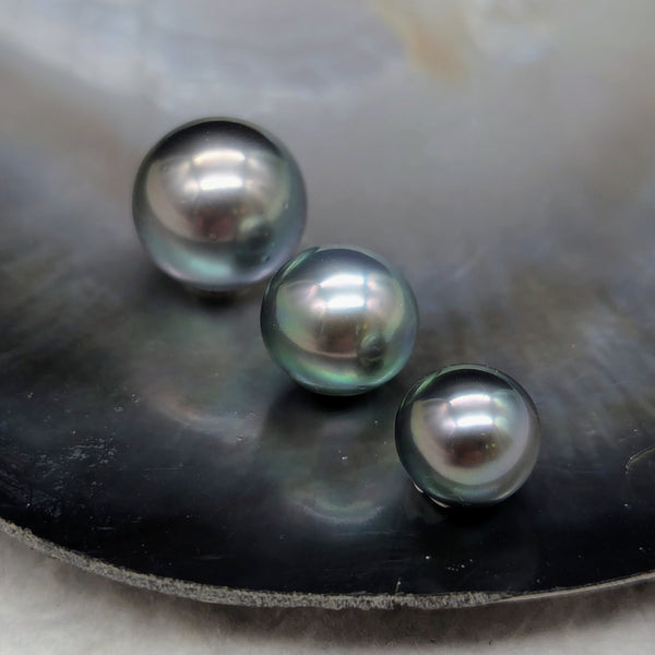 Tahitian Peacock Stunners 9-12 mm
