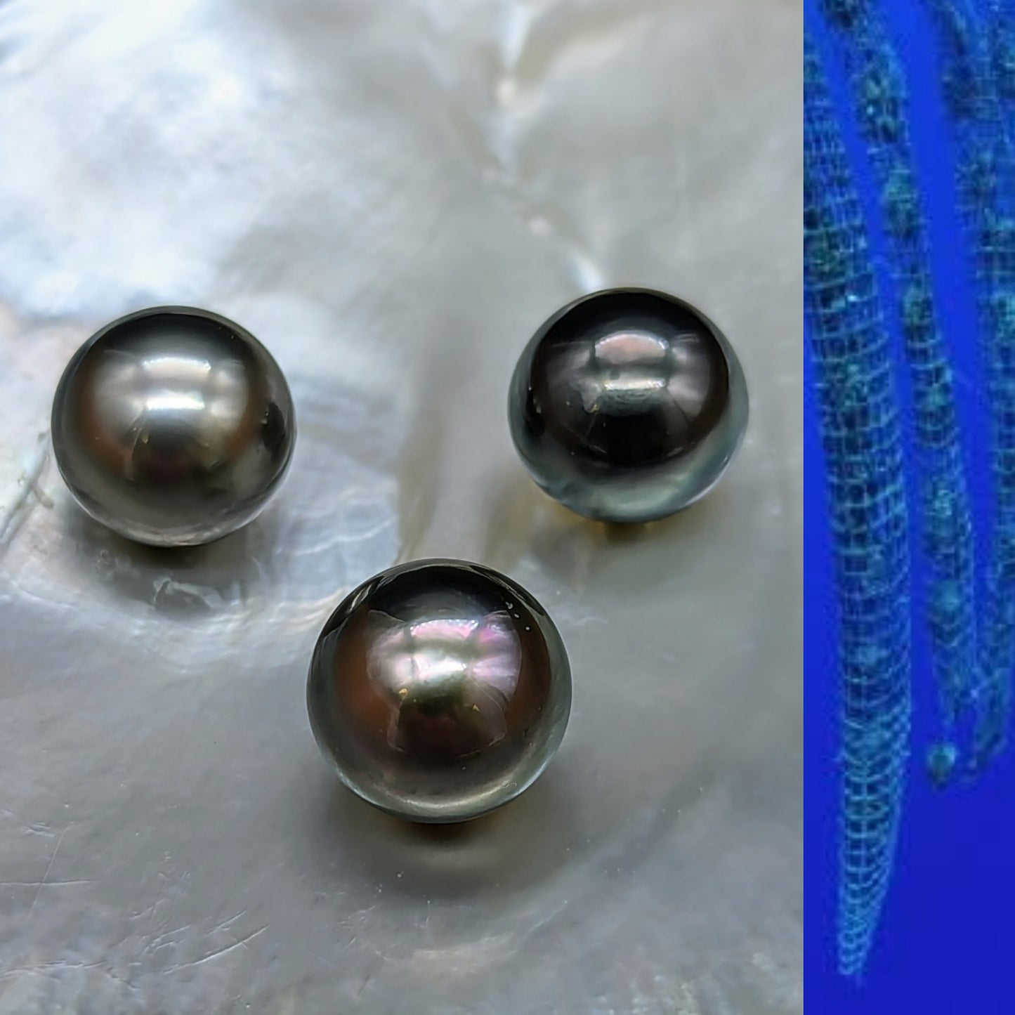 Round buttons 14 mm