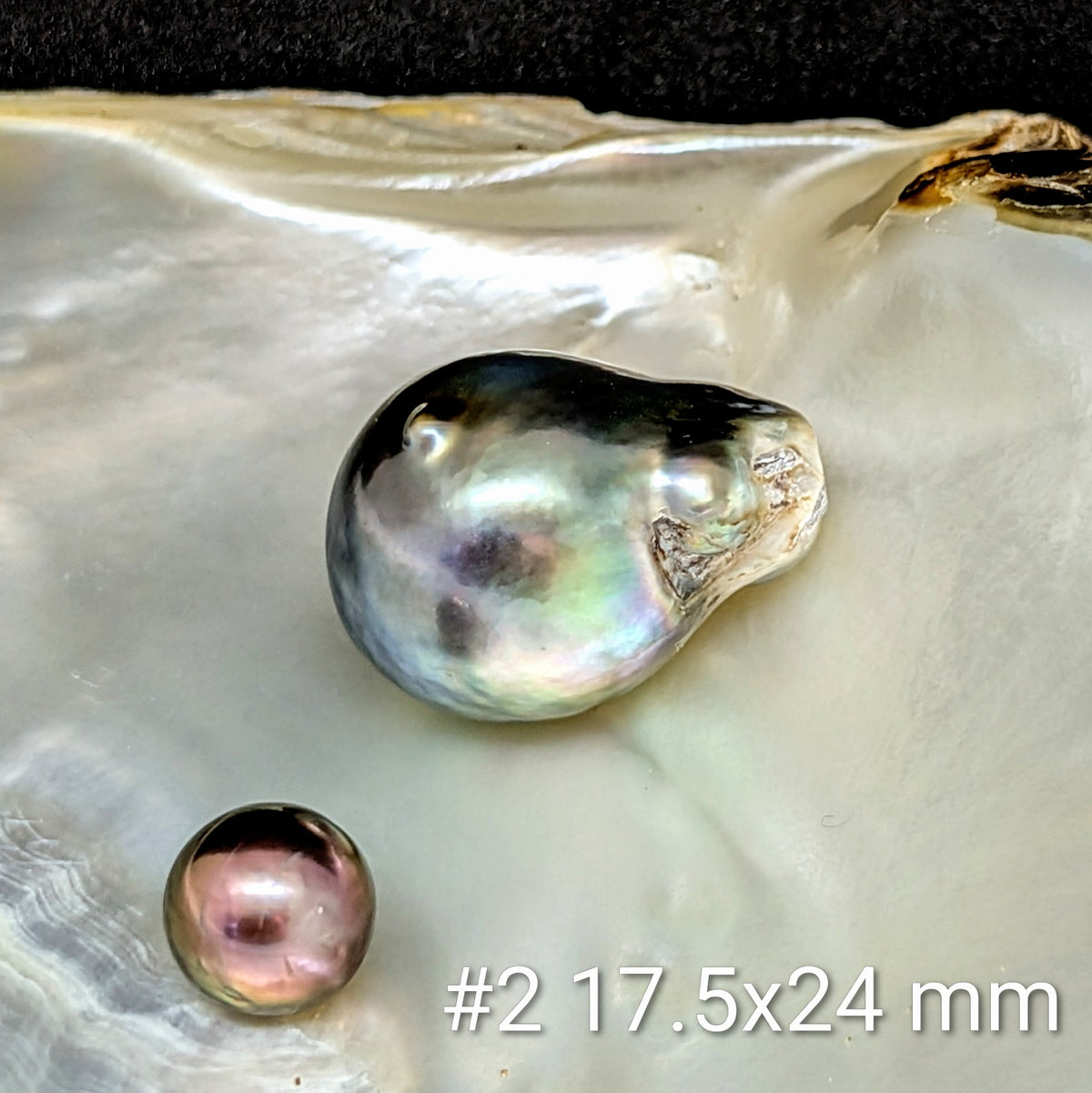 Lot #2 — 17.5 x 24.0 mm Asymmetrical Crest Baroque