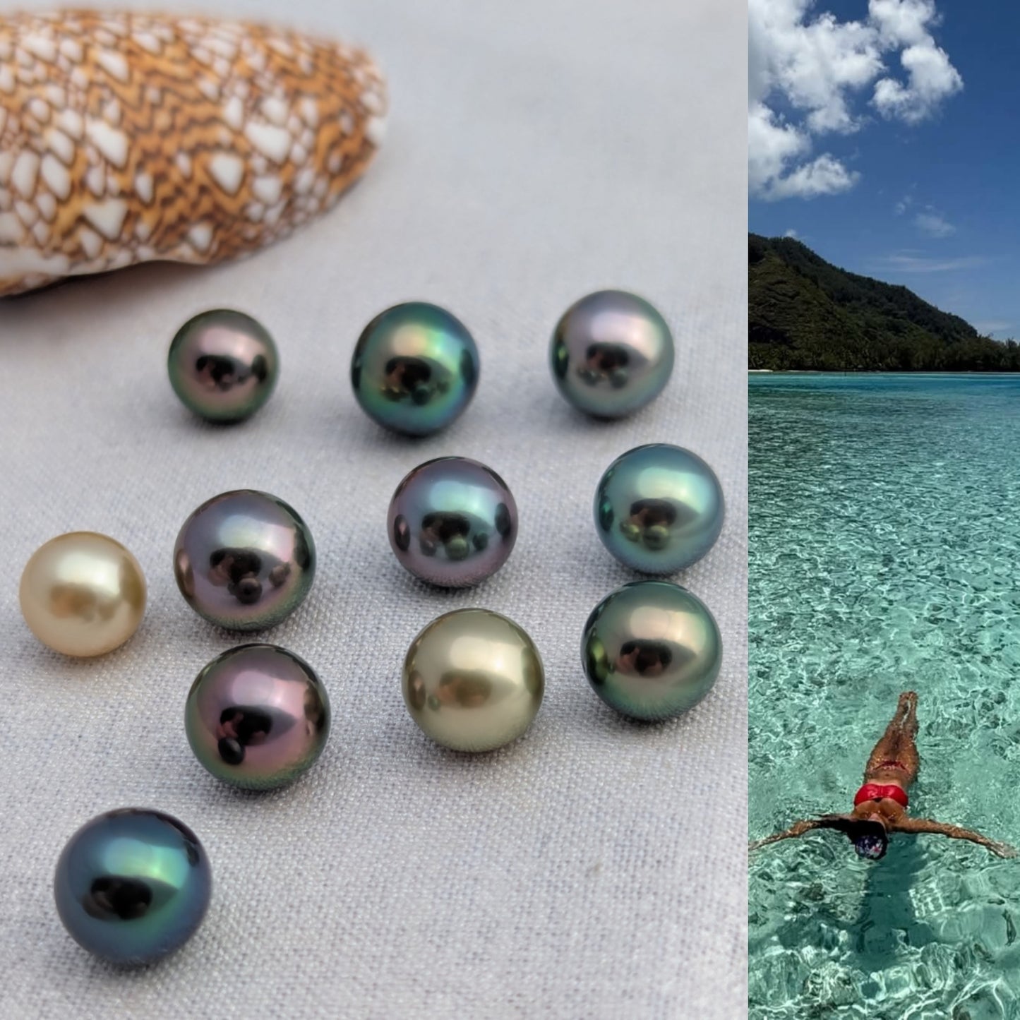 Dive into Pearls - Pearl Hunter Voyage and Discovery- Aug 29- Sept 5,2026.