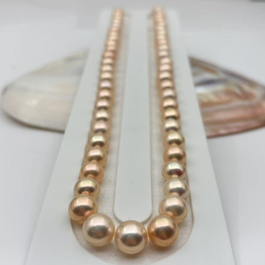 Primo Edison Champagne