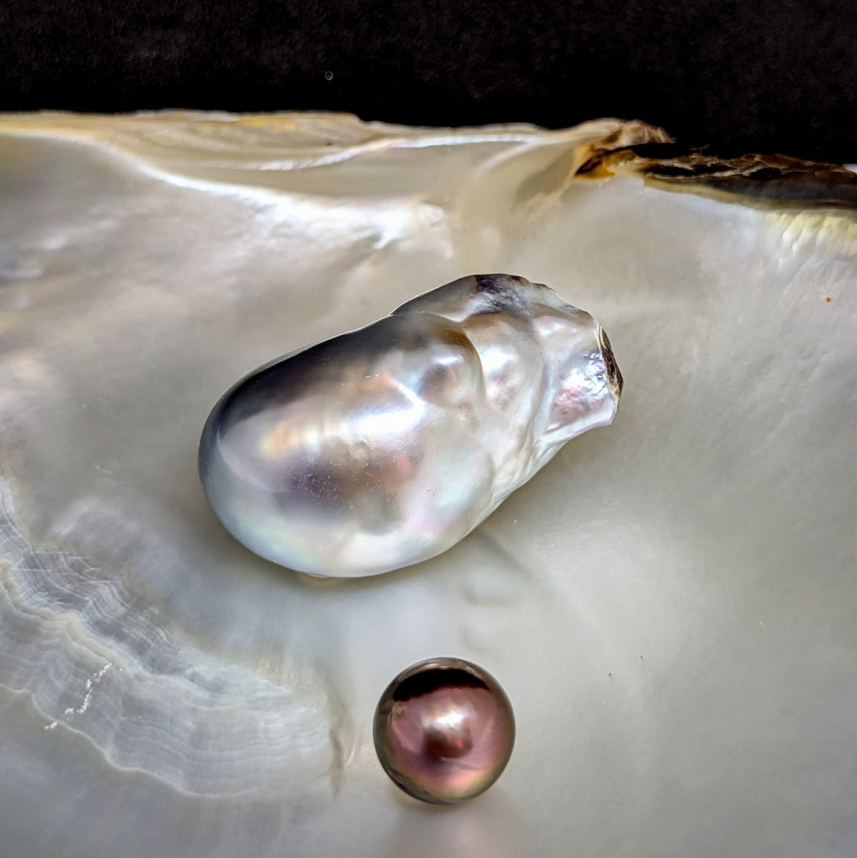 Lot #5 — 17.5 x 23.0 mm Sculptured Silver Tahitian Baroque