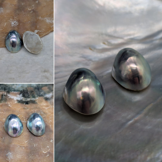 Primo Peacock Blue Nautilus Cabochon pairs 11-12 mm