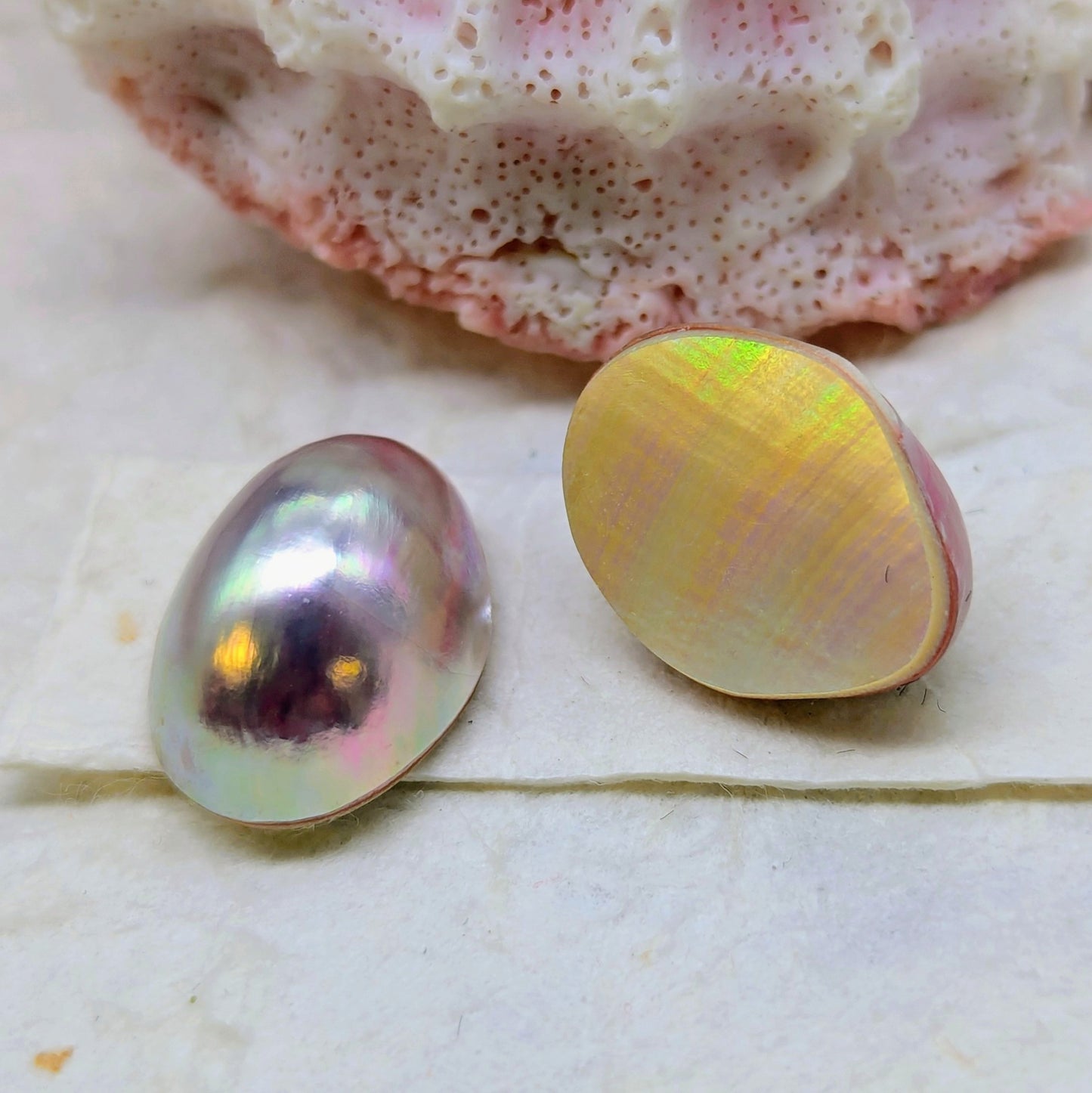 Nautilus Primo Pink drop pair 13 mm