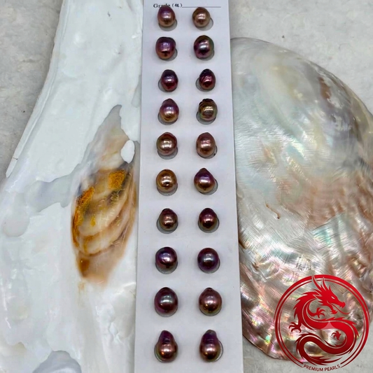 Dragon Brq pairs 11-12 mm