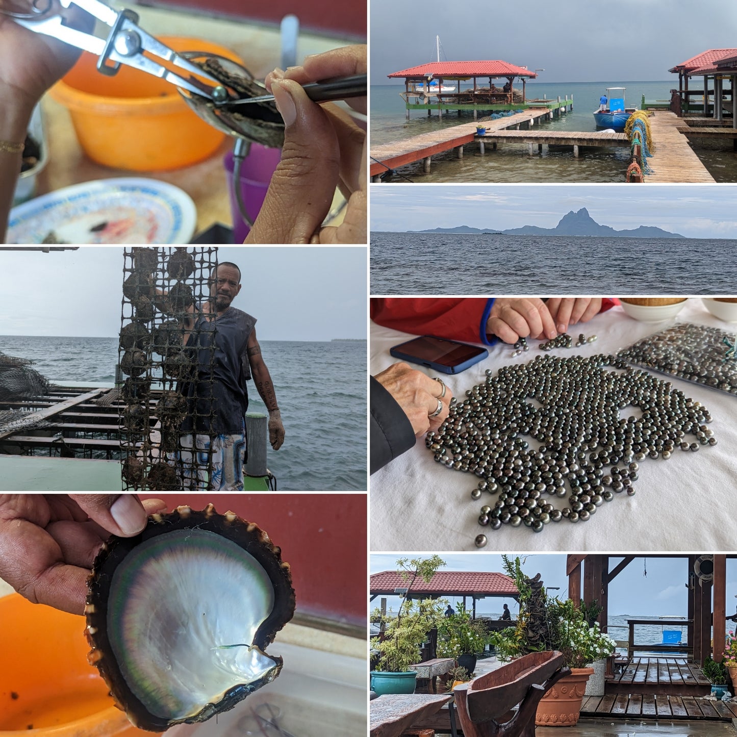 Dive into Pearls - Pearl Hunter Voyage and Discovery- Aug 29- Sept 5,2026.