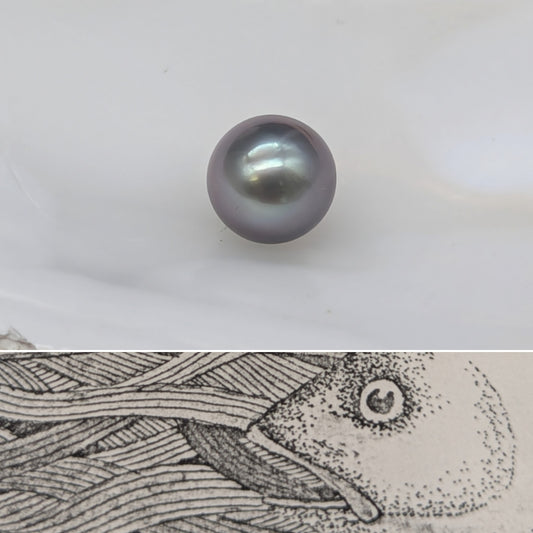 Tiny Tahitian 6.9 mm