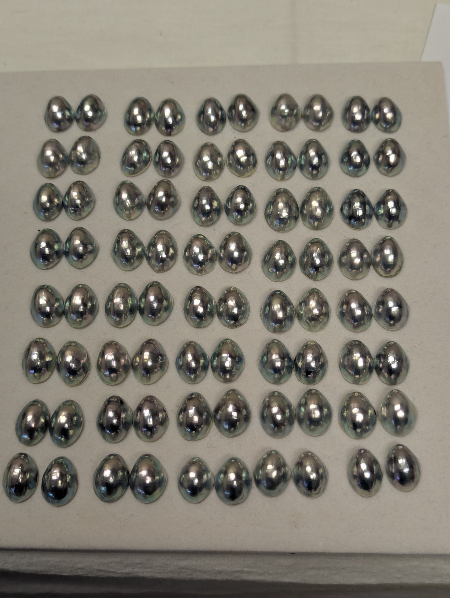 Primo Peacock Blue Nautilus Cabochon pairs 11-12 mm