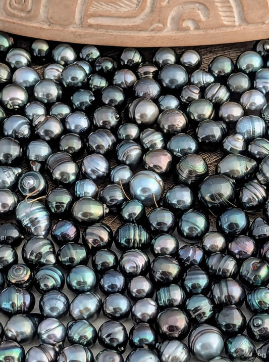 Multi-color Circle Tahitians 8-9 mm