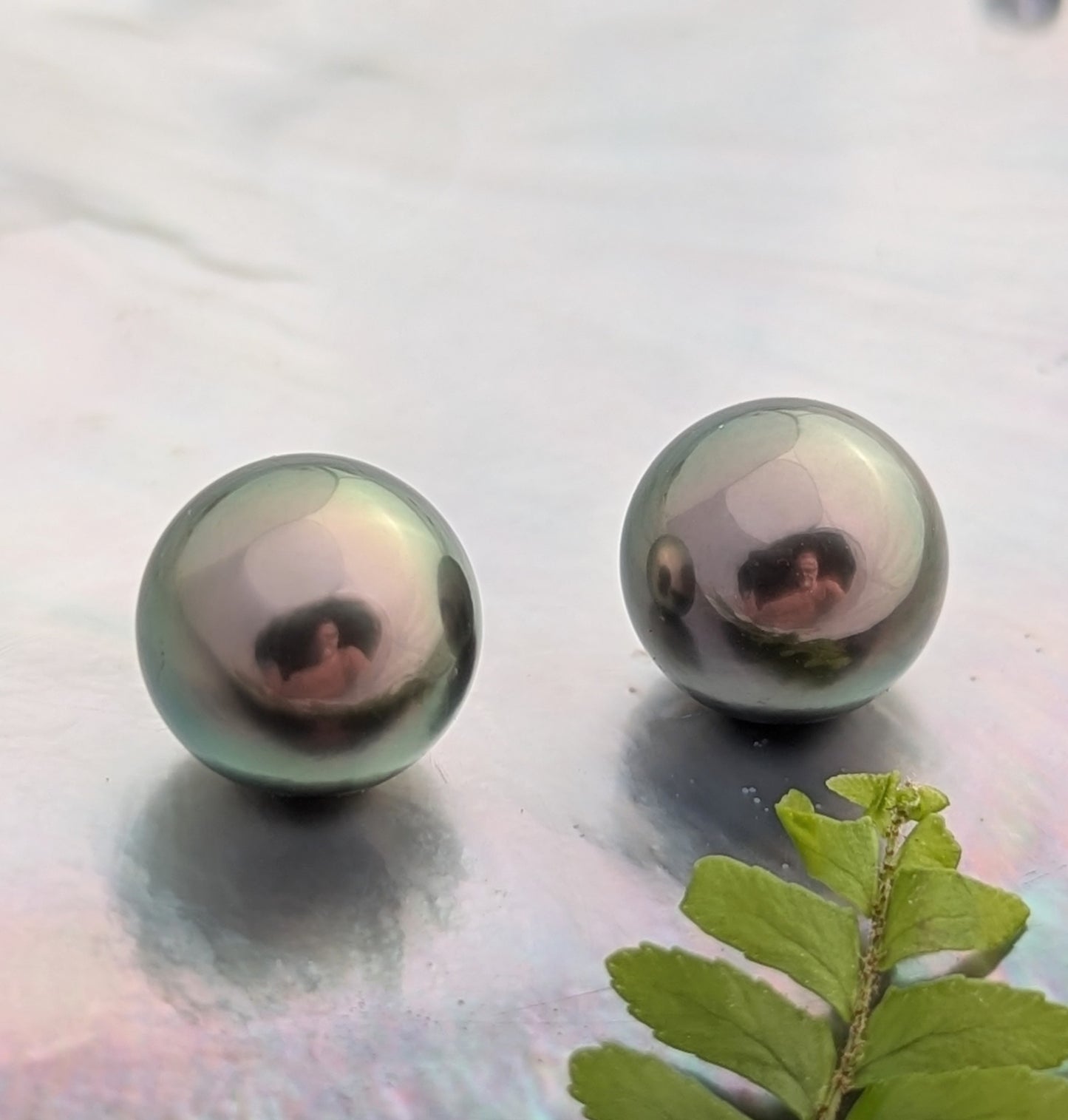 Peacock Charm 11.2-11.4 mm