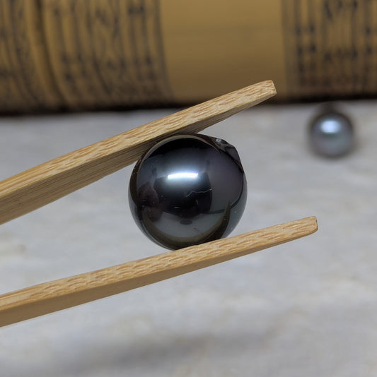 Black Island Beauty 15.2 mm