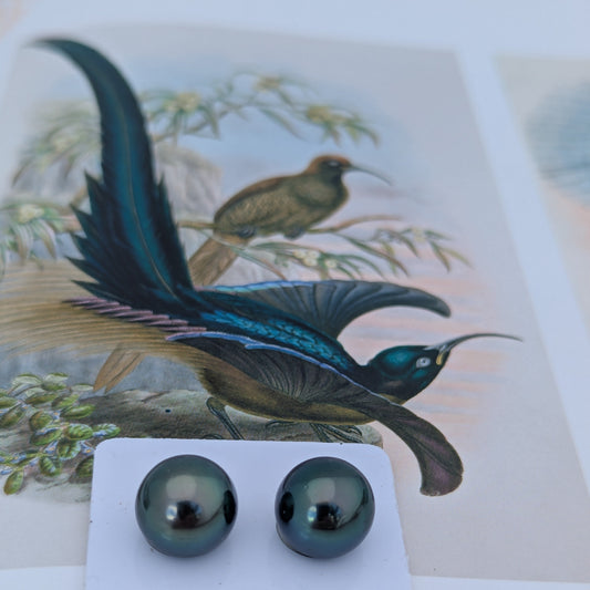 Tahitian Paradise 12.8-12.9 mm