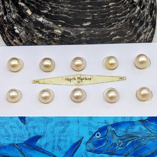 South Sea Brights 9 mmx2