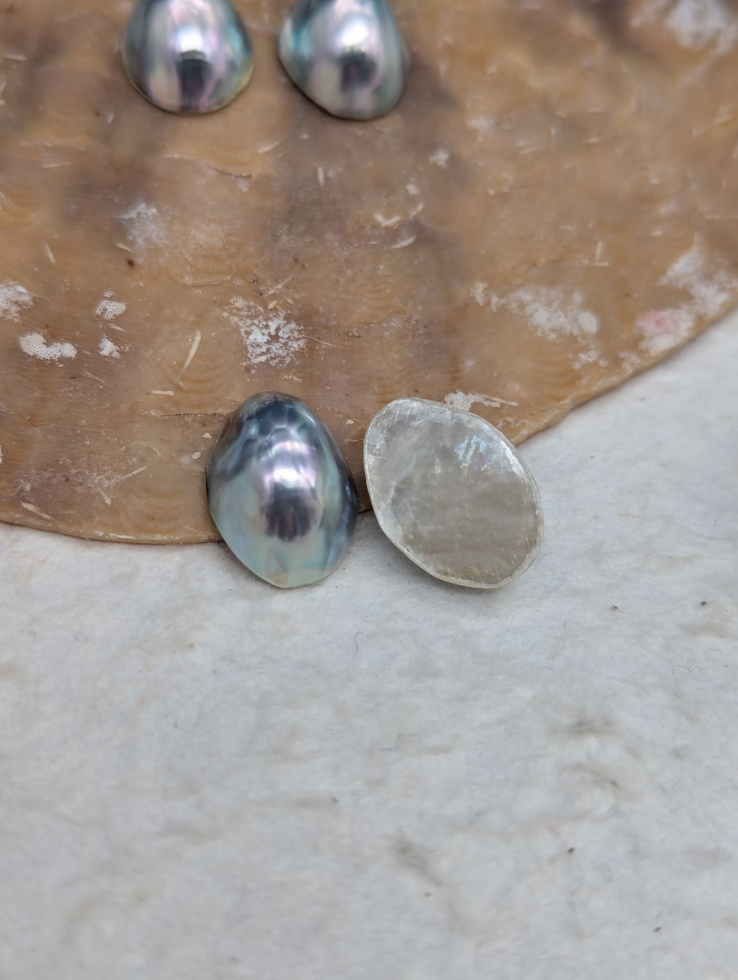 Primo Peacock Blue Nautilus Cabochon pairs 11-12 mm