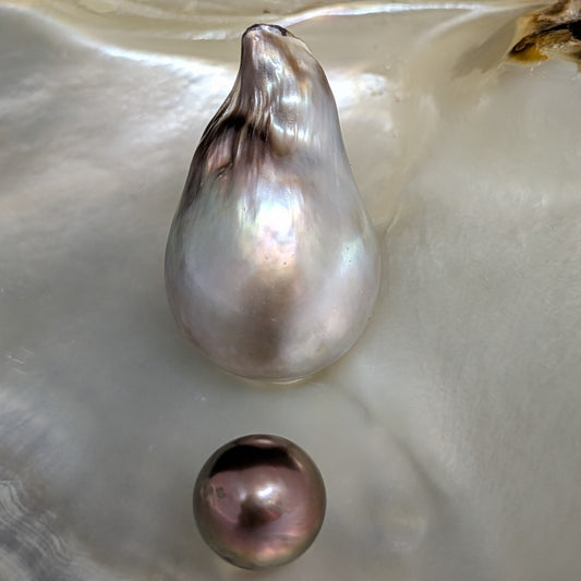 Tahitian Majestic 15.9 x 24 mm