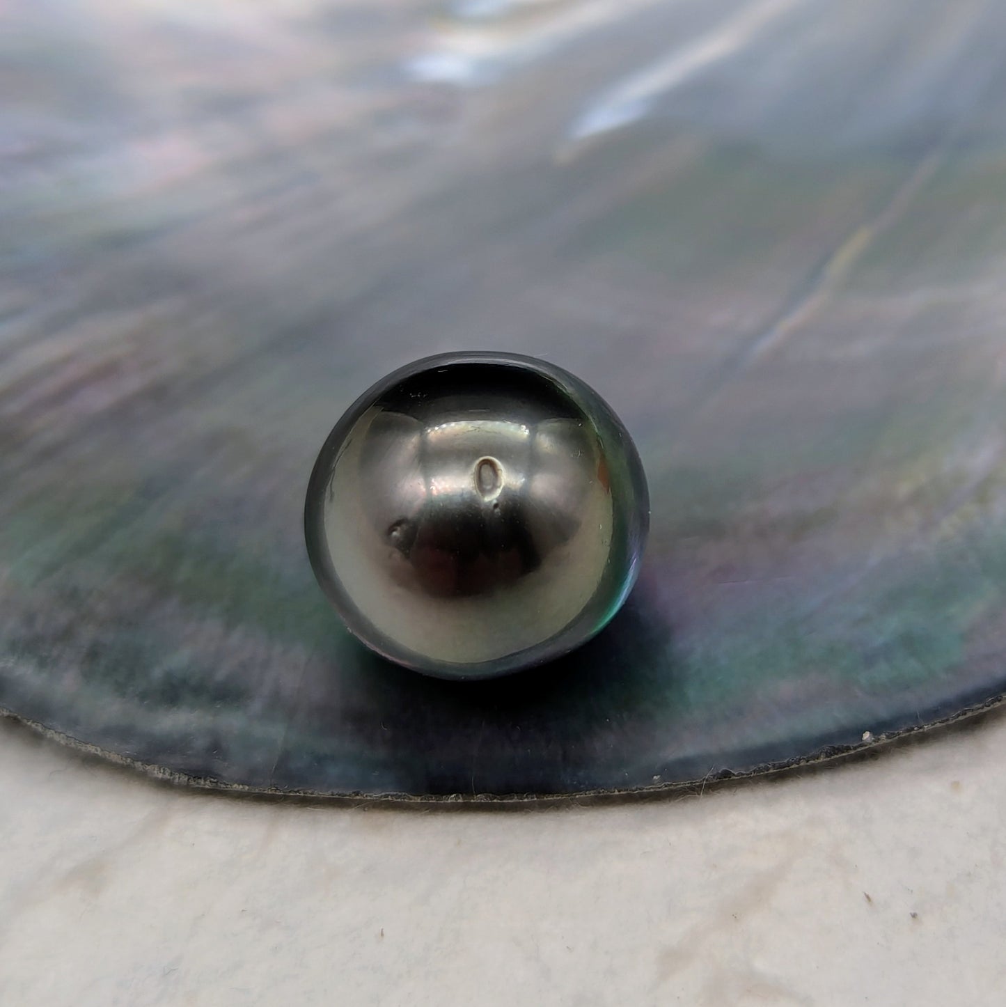 Tahiti Nui 13.5 mm