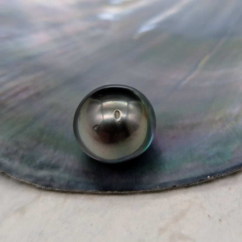 Tahiti Nui 13.5 mm