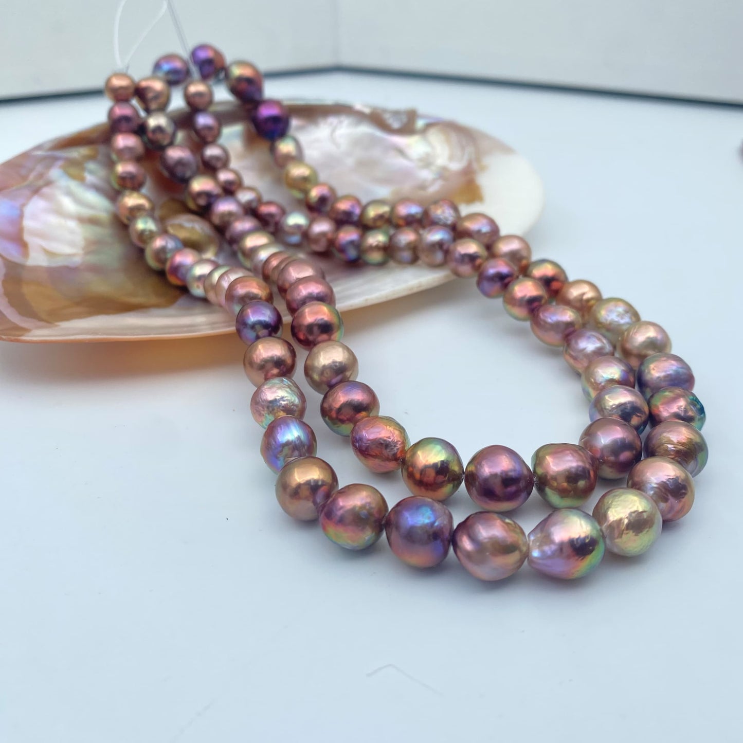 Dragon Multi Tone Opera