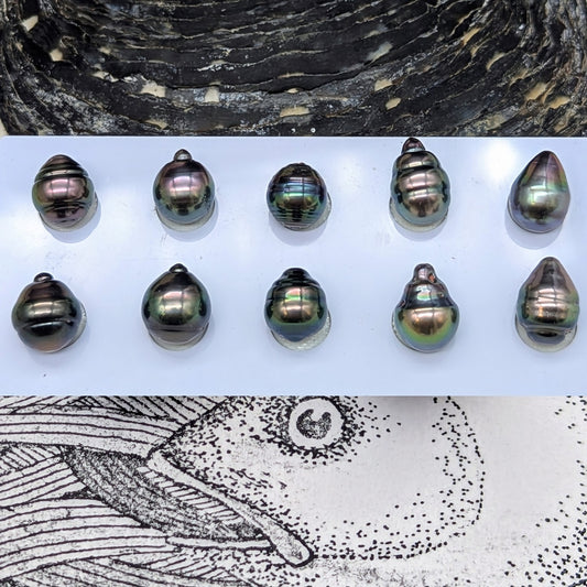 Circled Delights pairs 11 mm