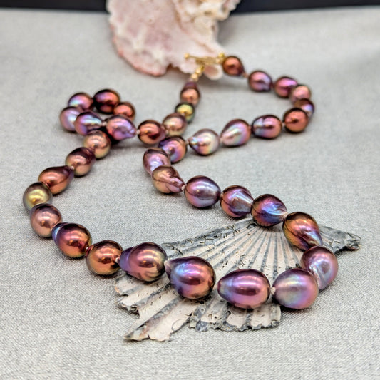 Dragon Baroque Multi