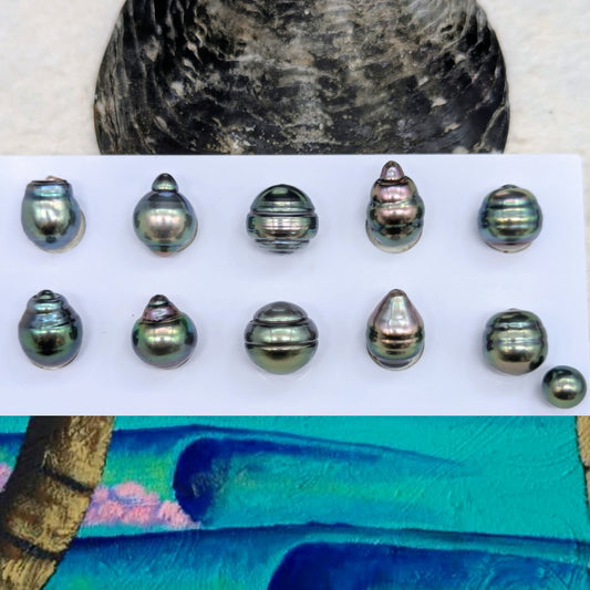 Tahitian Circled Delights pairs 12 mm