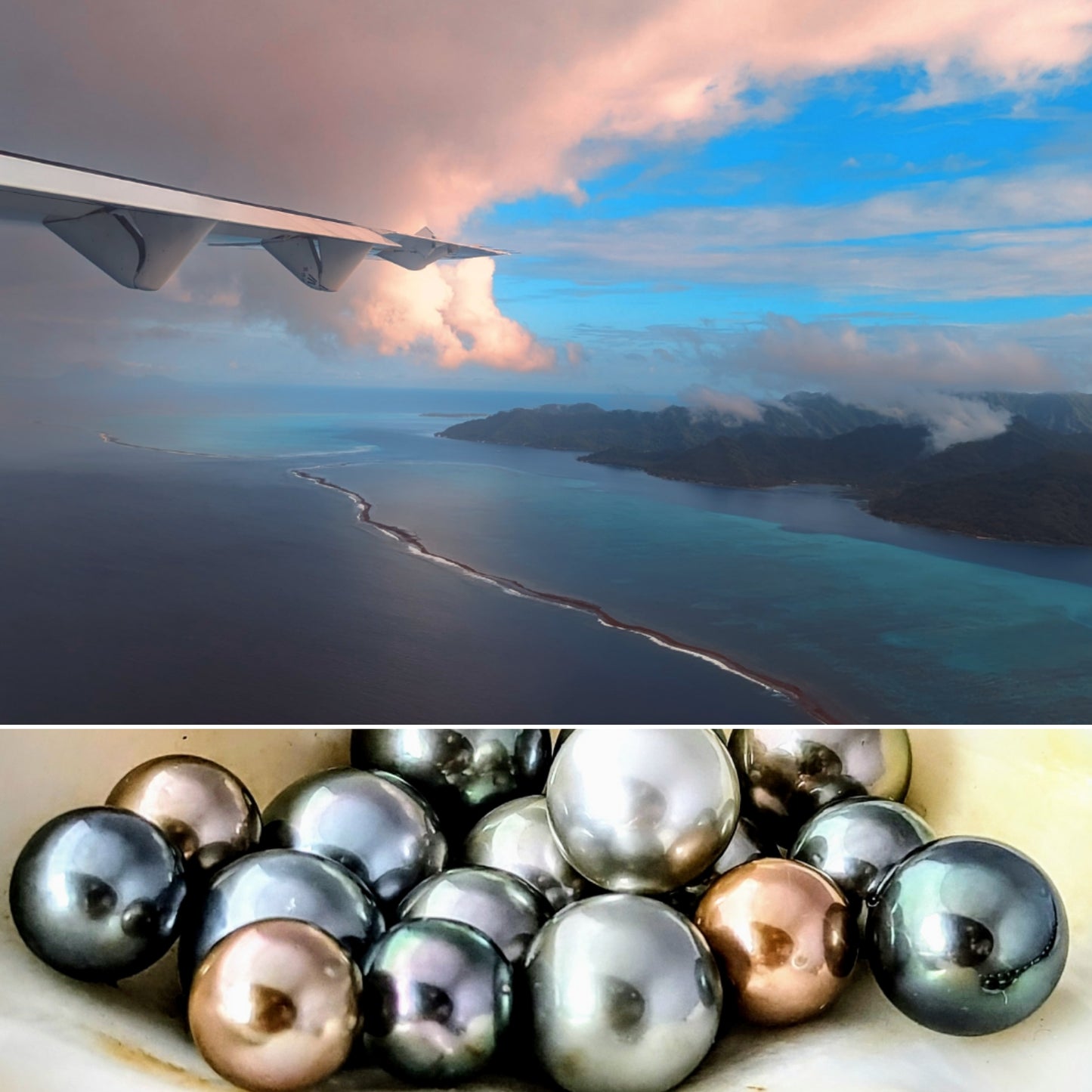 Dive into Pearls - Pearl Hunter Voyage and Discovery- Aug 29- Sept 5,2026.