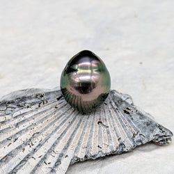 Peacock drop 12.2 mm