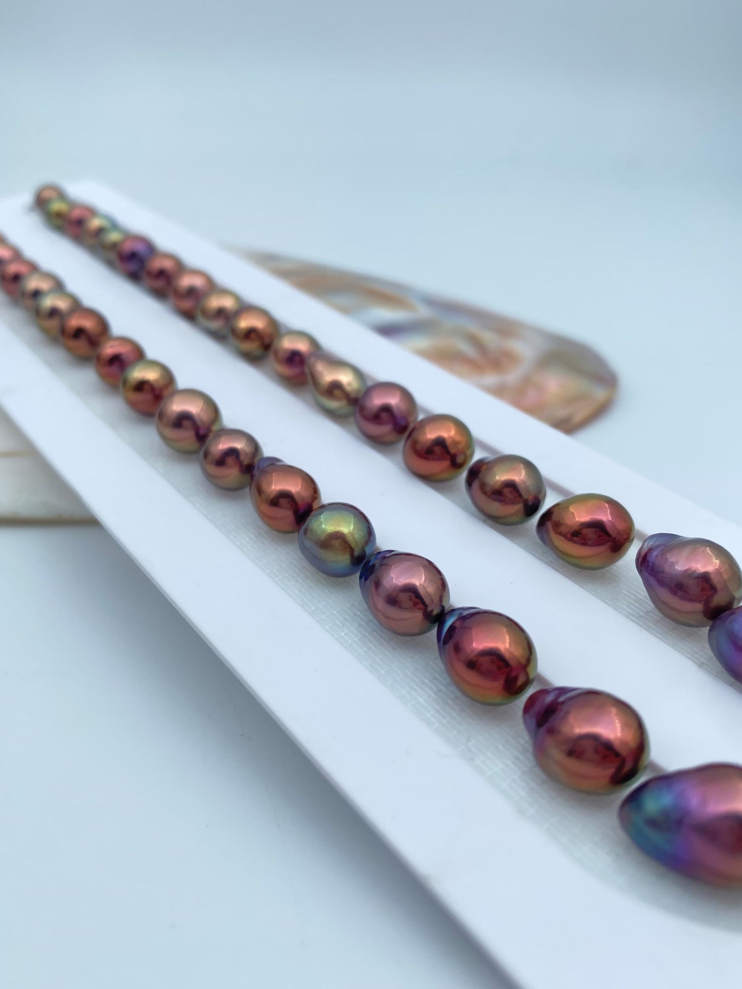 Dragon Multi Tone Baroque