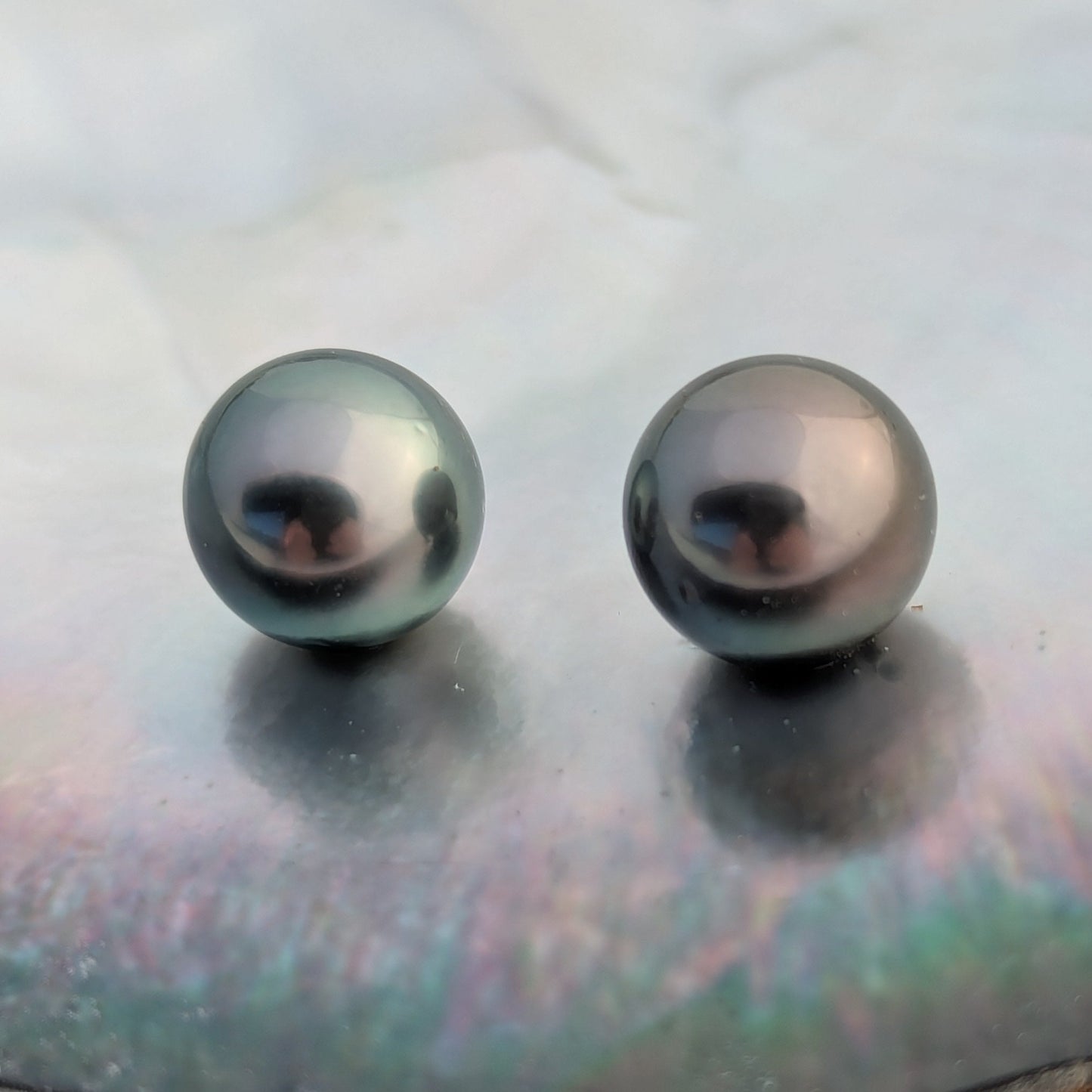 Peacock Delights AAA 2x10.7 mm