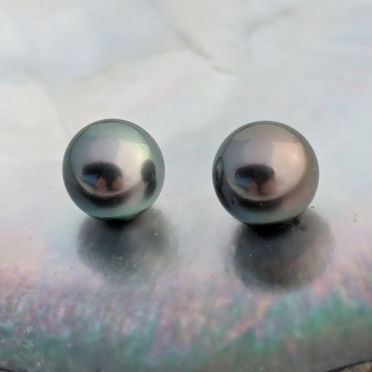 Peacock Delights AAA 2x10.7 mm
