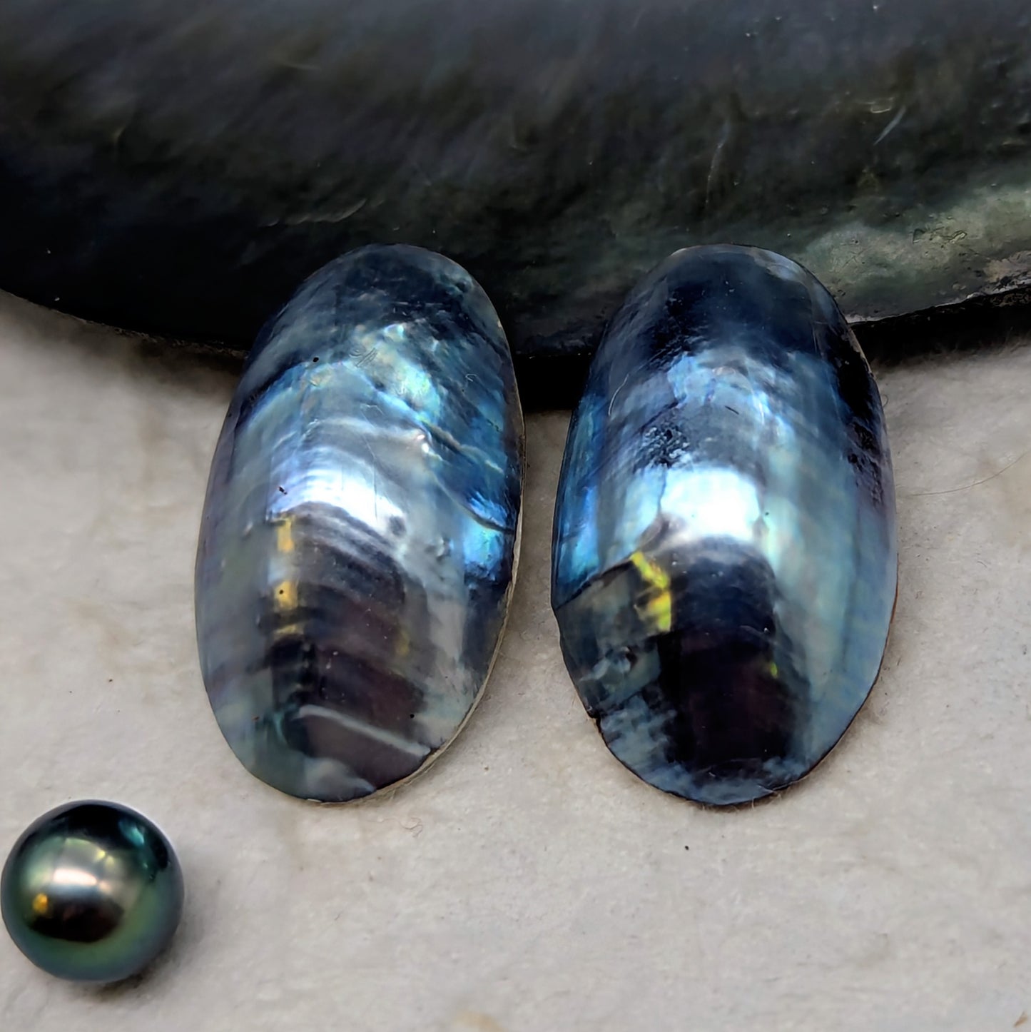Zebra Blue Nautilus Cabochon Pair  17 mm