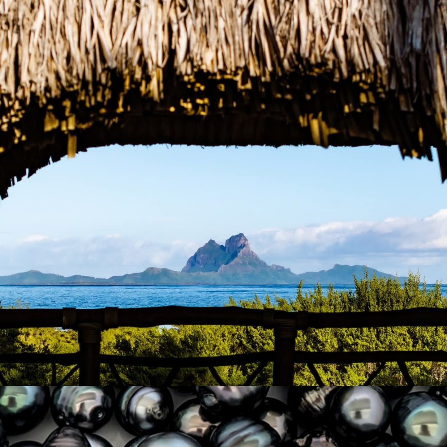 Dive into Pearls - Pearl Hunter Voyage and Discovery- Aug 29- Sept 5,2026.