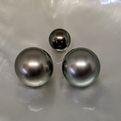 Tahitian Silver Twins 13.9 mm